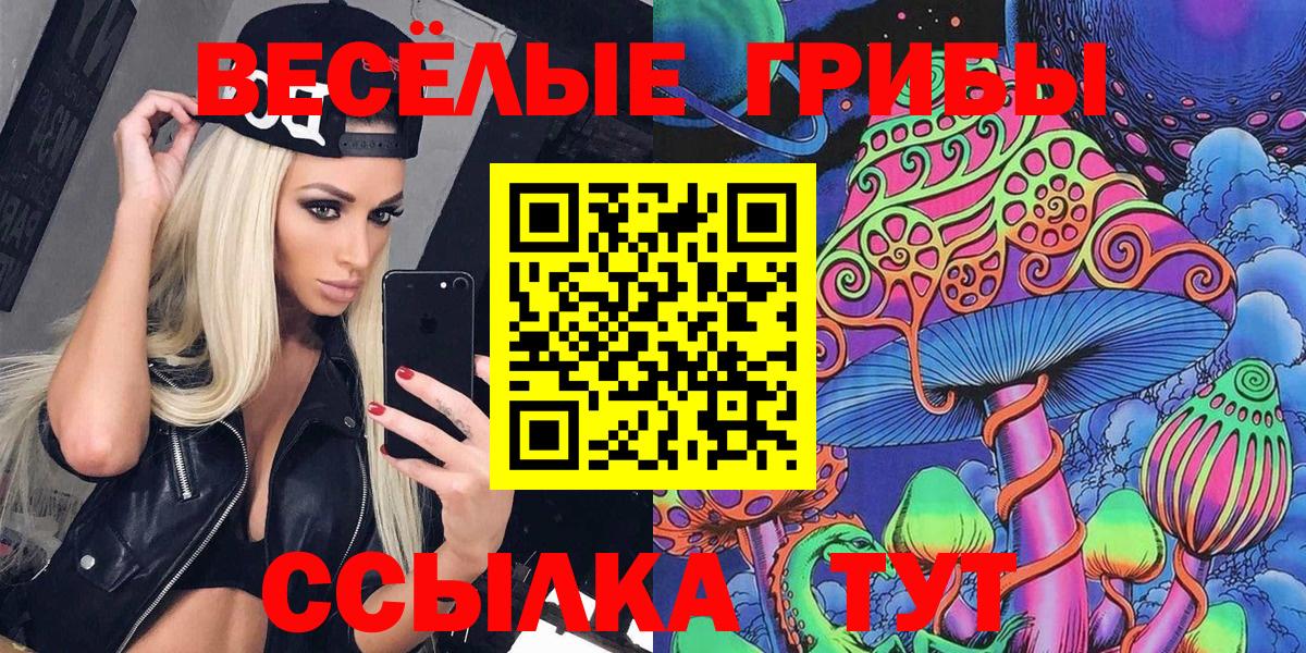Новоалтайск  Псилоцибиновые грибы мухоморы  Вход с VPN 