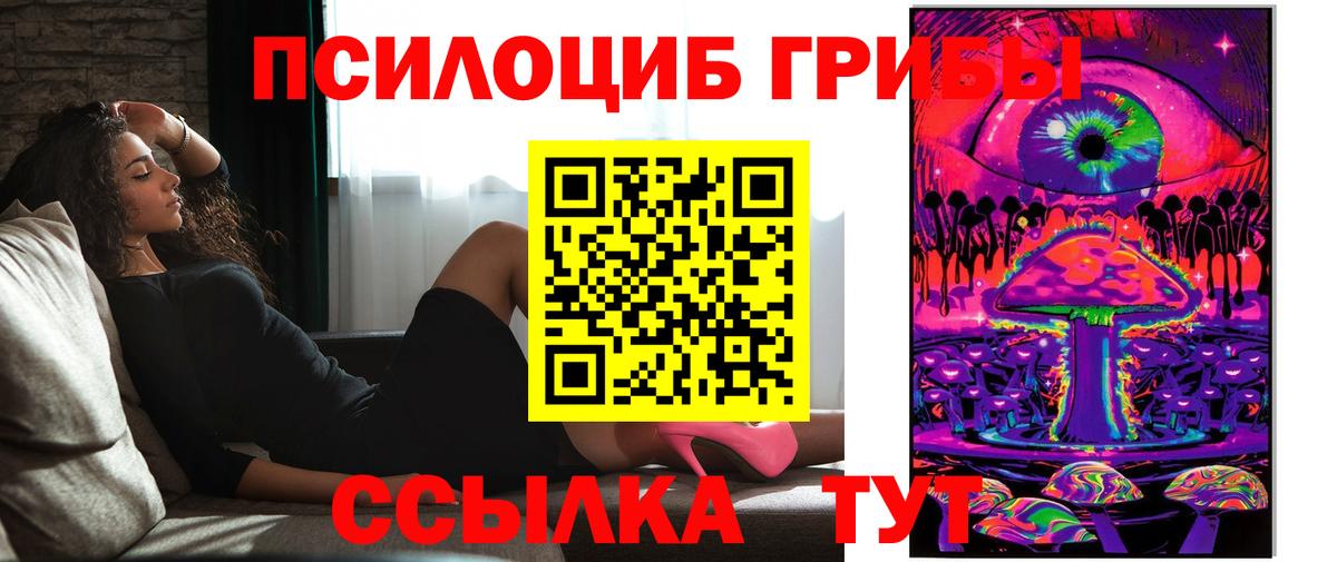 Псилоцибиновые грибы Psilocybe Новоалтайск